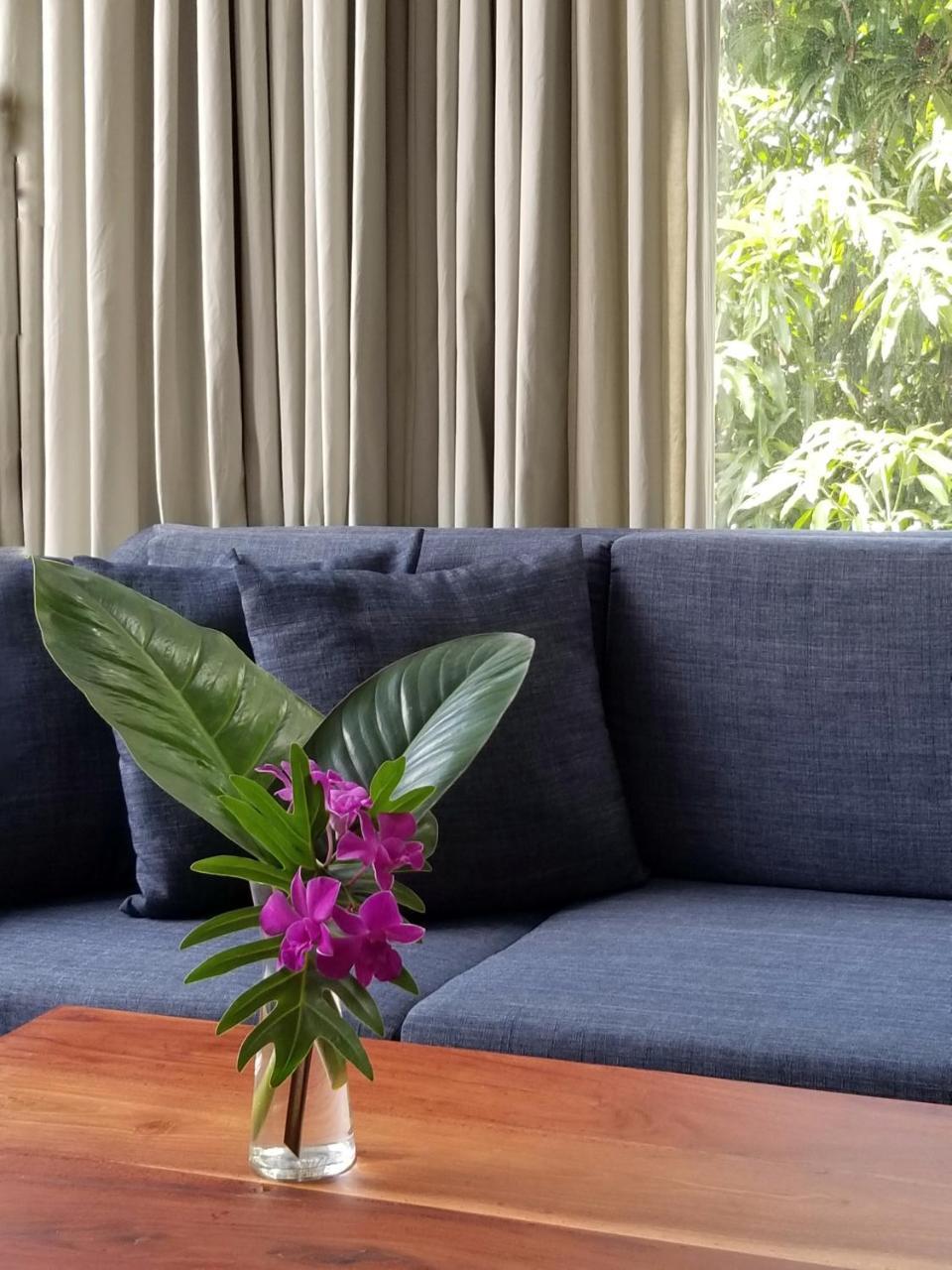 Angkor Siesta Villa 暹粒 外观 照片